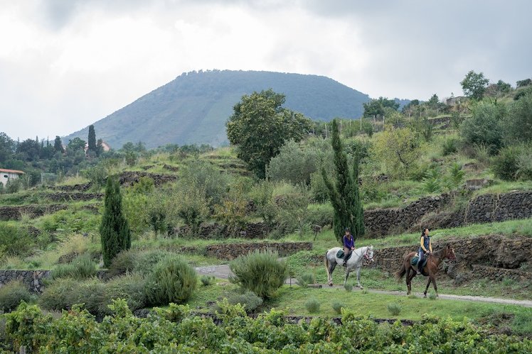 Monaci delle Terre Nere, Palermo