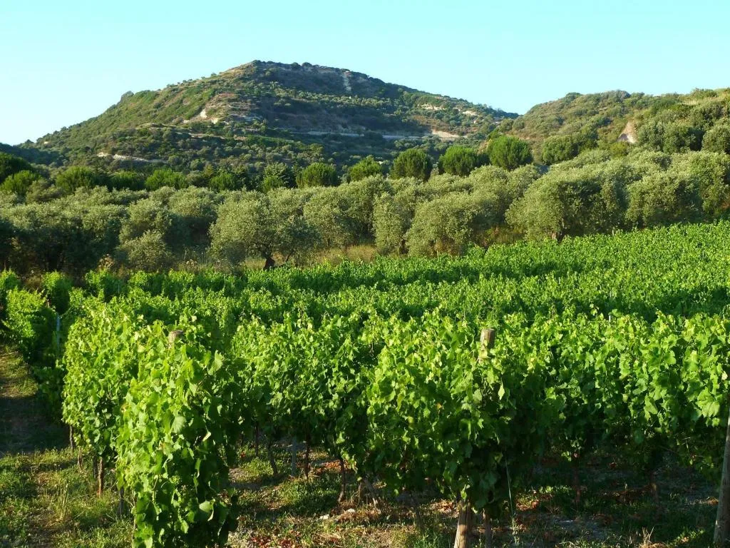 General view, B&B Pessighette Dimora di Campagna, Alghero