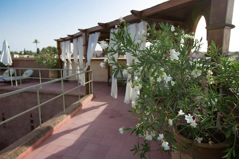 Terrace, Riad Altair, Marrakech