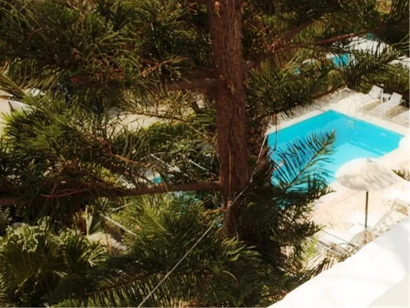 Pool, Marina Hotel, Crete