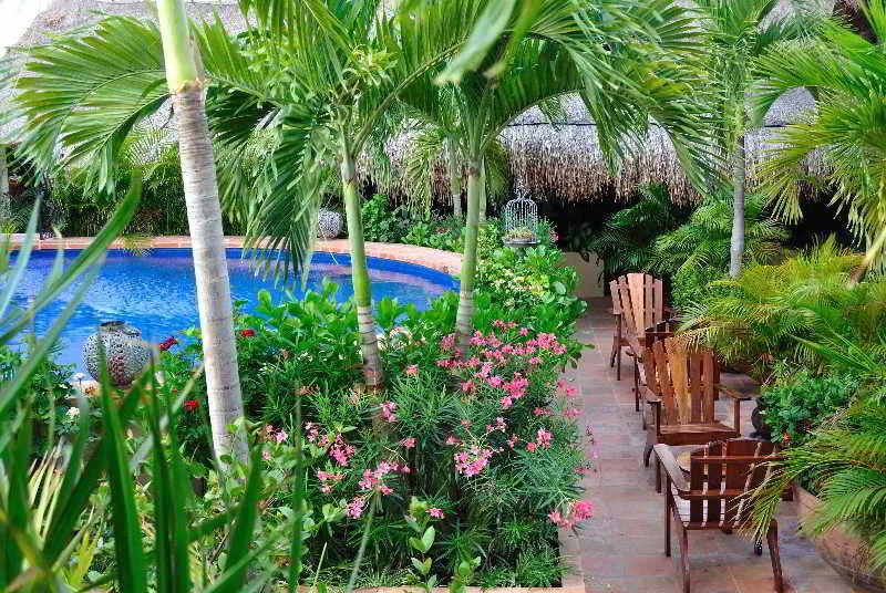 Pool, La Pasion Hotel Boutique by Bunik, Playa Del Carmen