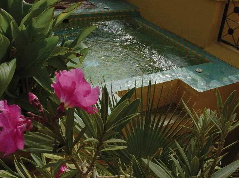 Pool, Riad Karmela, Marrakech