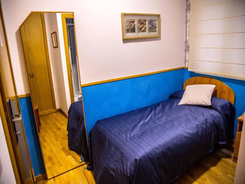 SINGLE STANDARD Room, Hostal Montaloya, Madrid