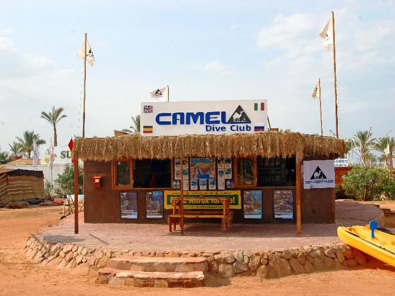 Sports and Entertainment, Pickalbatros Laguna Club Resort, Red Sea Riviera