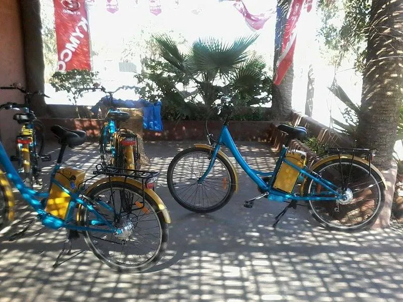 Sports and Entertainment, Riad White Flowers, Marrakech