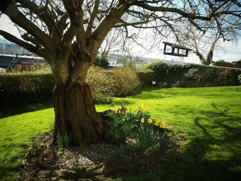 General view, Gabriel House, Cork