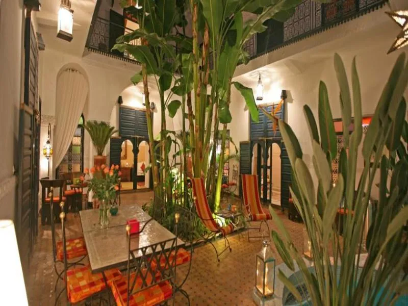 General view, Riad Aloes, Marrakech