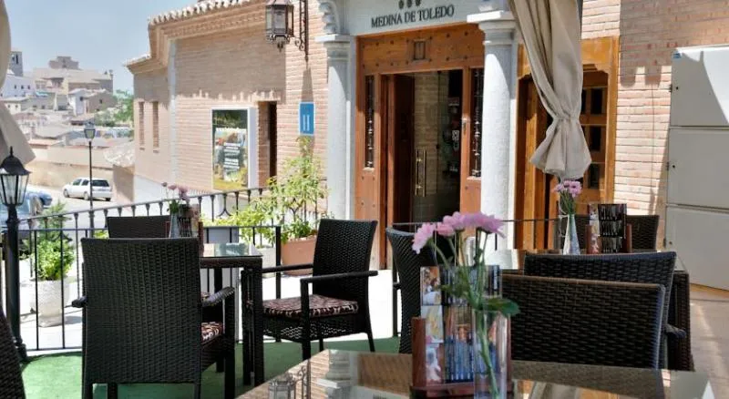 General view, Medina de Toledo, Madrid