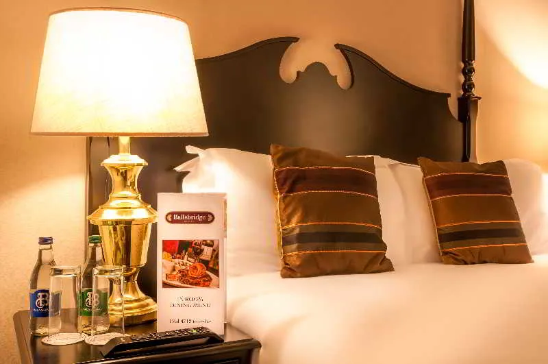 SINGLE STANDARD Room, Ballsbridge Hotel, Dublin