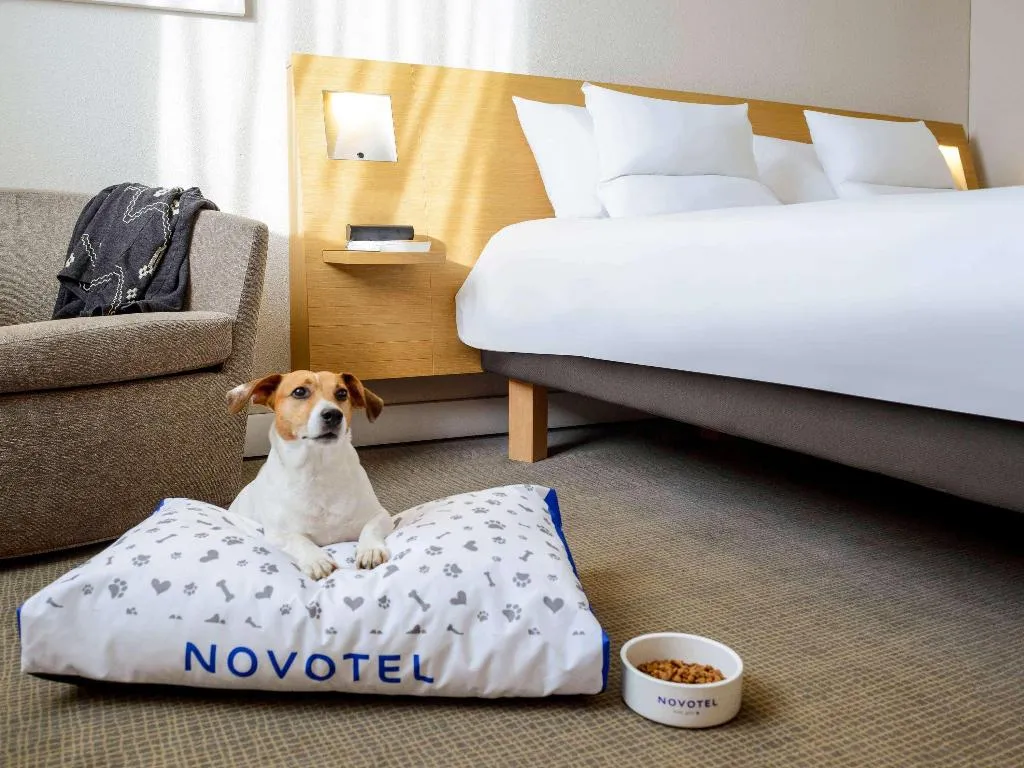 DOUBLE SINGLE USE STANDARD Room, Novotel Milan Malpensa Airport, Milan