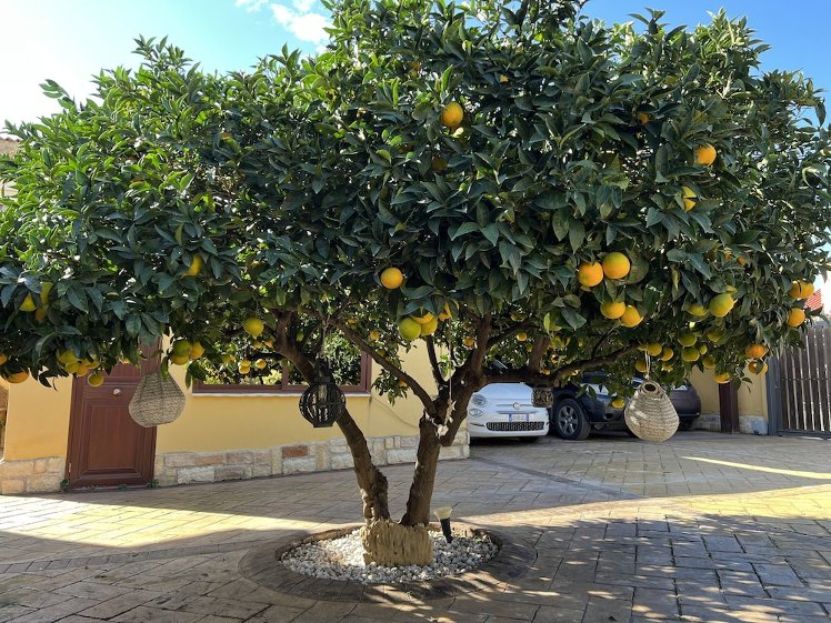 B&B Templi e Arte - Agrigento -, Catania