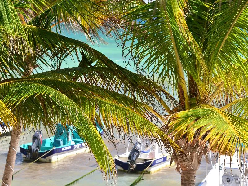 Beach, Playa Palms, Playa Del Carmen