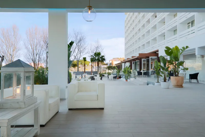 Terrace, Flamero, Costa De La Luz