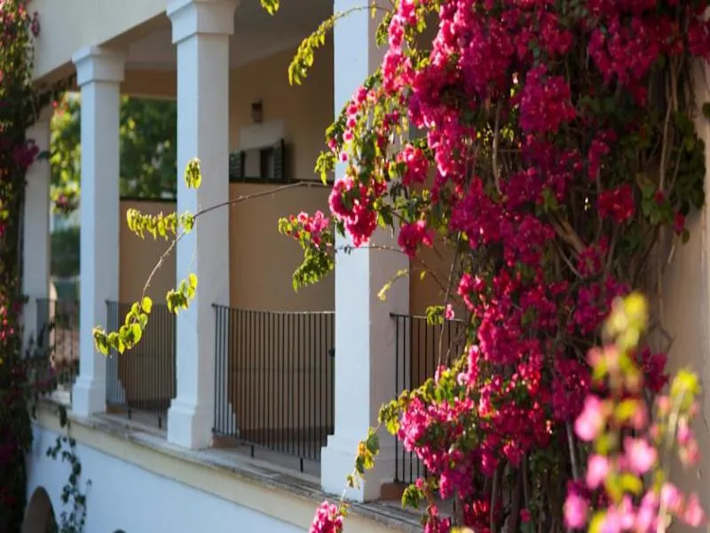 Double or Twin STANDARD Room, Bahia, Majorca
