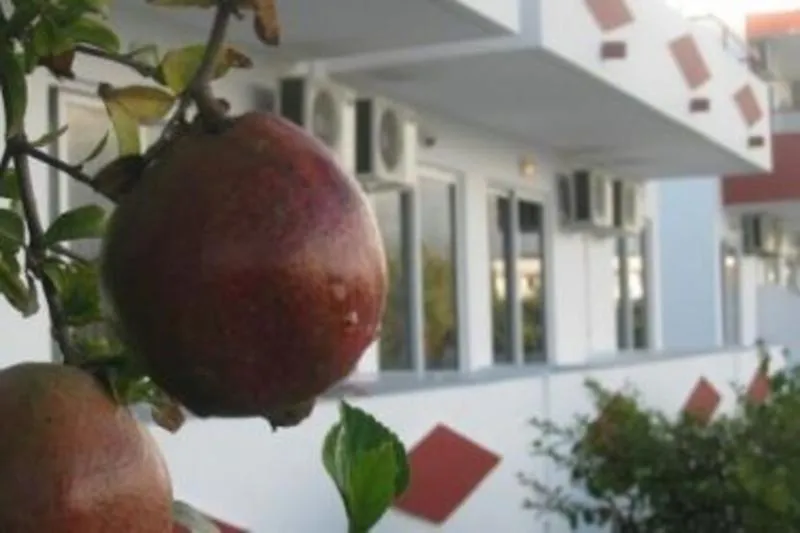 General view, Stenna Apartments, Kos