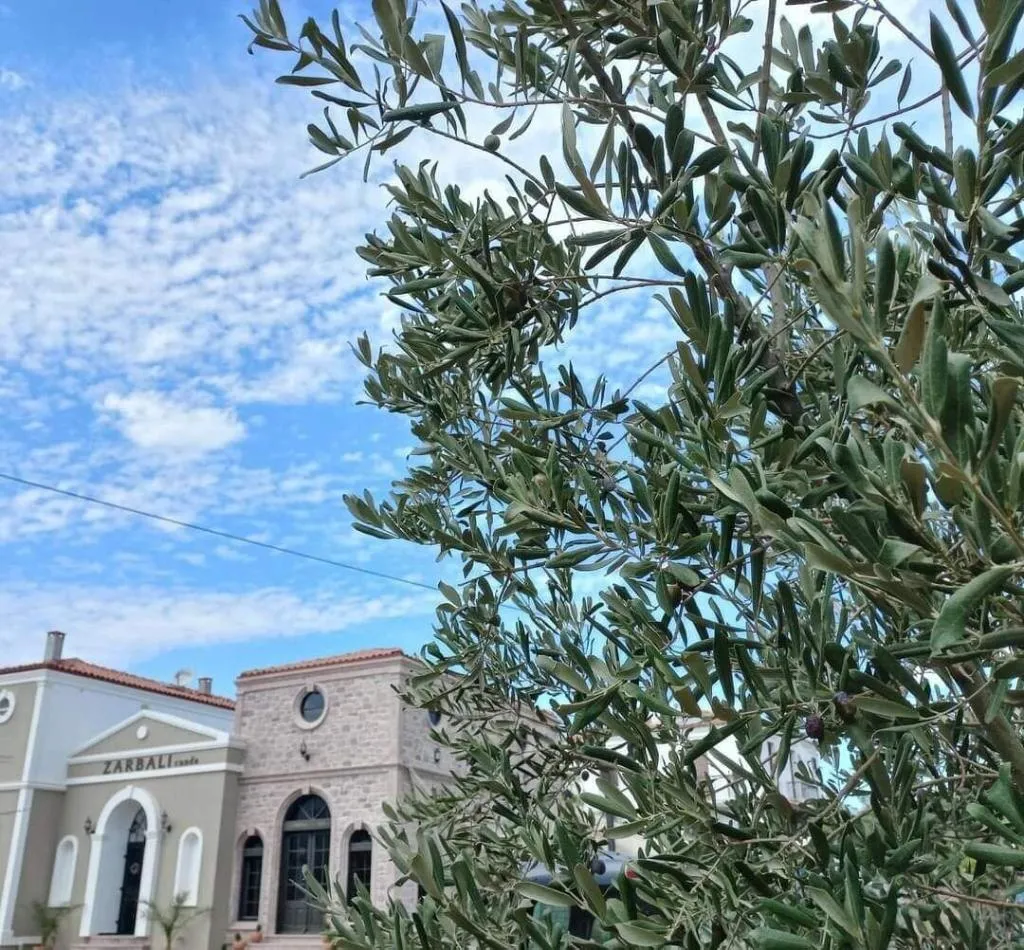 General view, Zarbali OtelCunda, Izmir