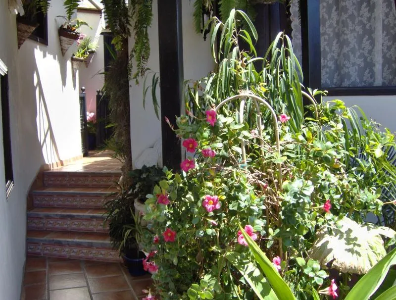 APARTMENT SEA VIEW Room, Apartamentos Monasterio de San Antonio Only Adults, Tenerife