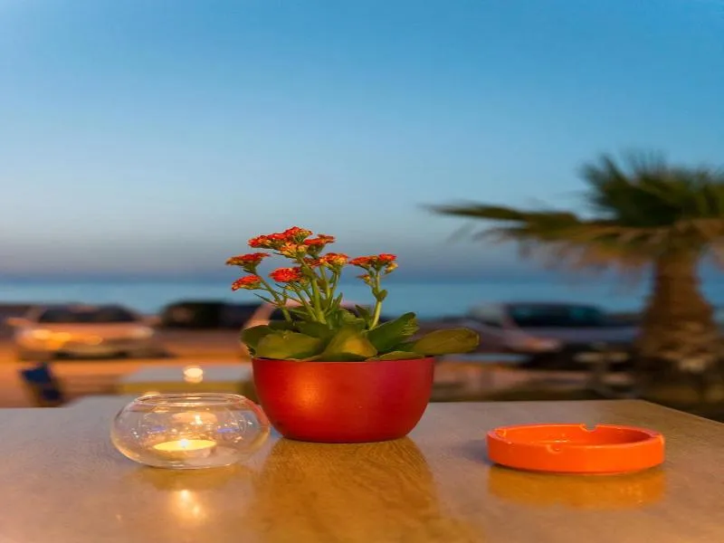 Bar, Esperia Beach, Crete