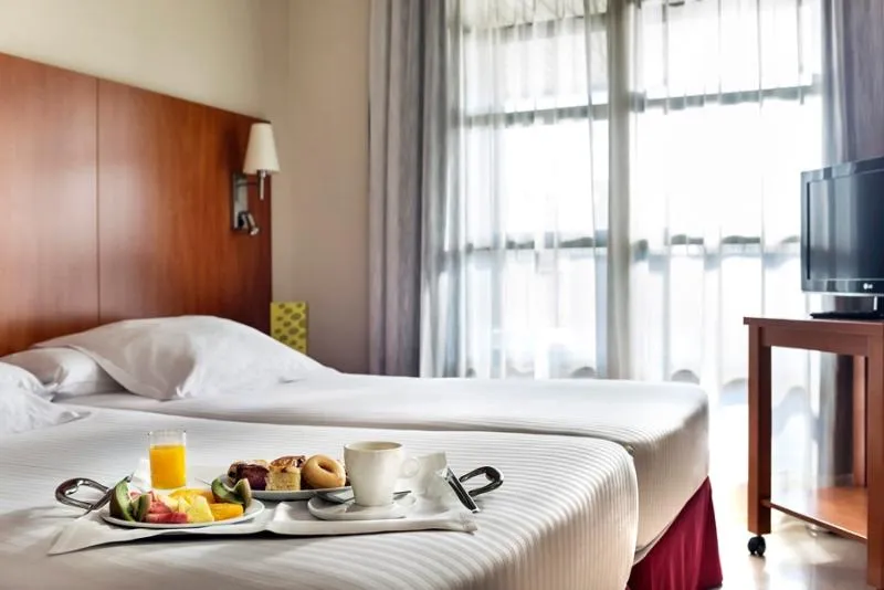 DOUBLE SINGLE USE STANDARD Room, Exe Gran Hotel Almenar, Madrid