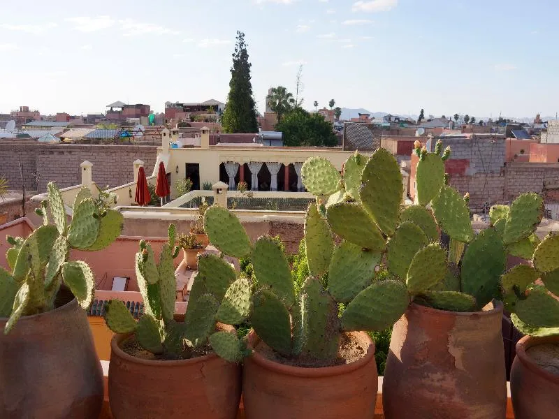 Terrace, Riad Marrakiss, Marrakech