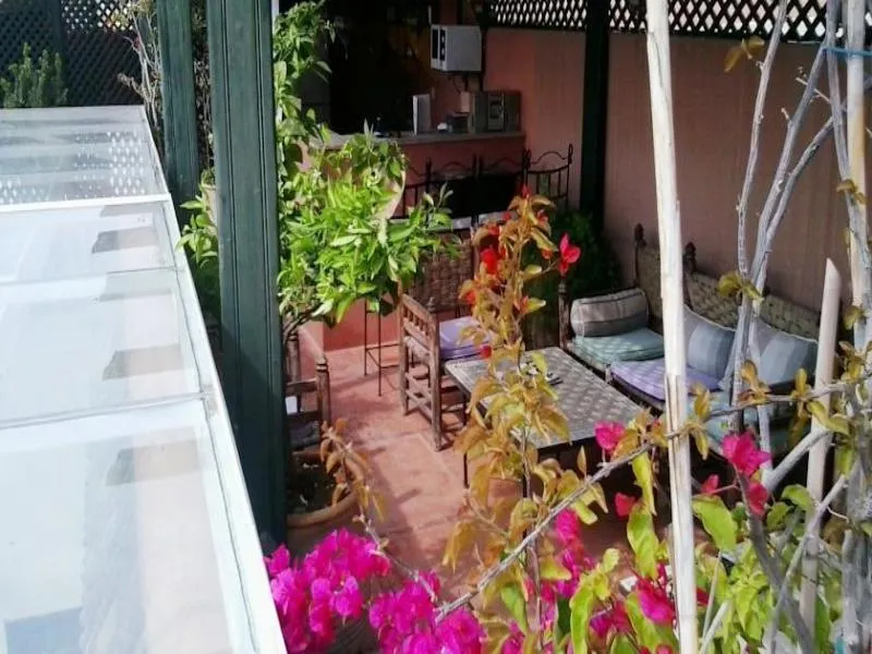 Terrace, Riad Aloes, Marrakech