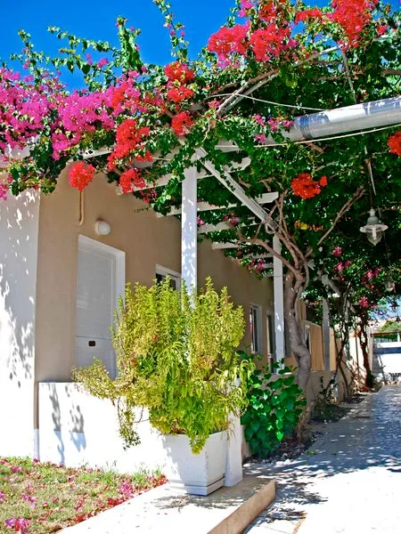 Terrace, Sacallis Inn Beach Hotel, Kos