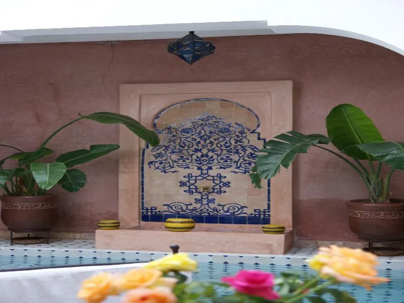 Pool, Riad Ailen, Marrakech