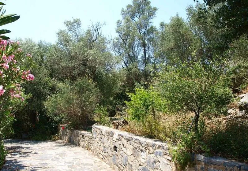General view, Aposperitis Villas, Crete