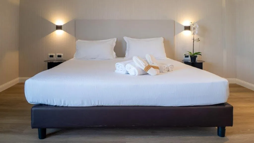 DOUBLE SUPERIOR Room, Hotel Capannelle, Rome