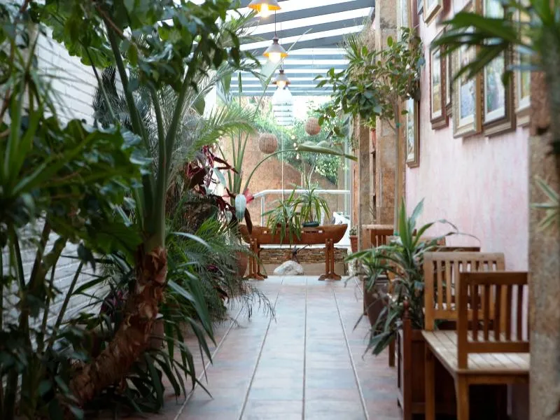 Terrace, htop Palm Beach, Costa Brava