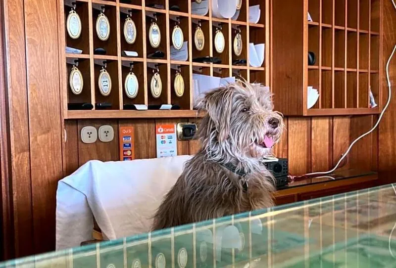 Lobby, Ping Pong, Rome