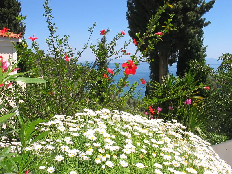 Terrace, Kerveli Village, Samos
