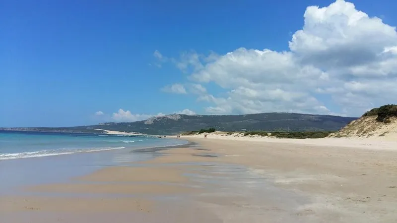 Beach, Cortijo Las Piñas, Costa De La Luz