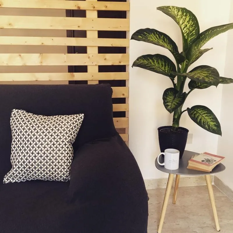 Lobby, B&B Hycarus, Palermo