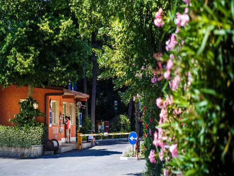 Lobby, Camping Tiber, Rome