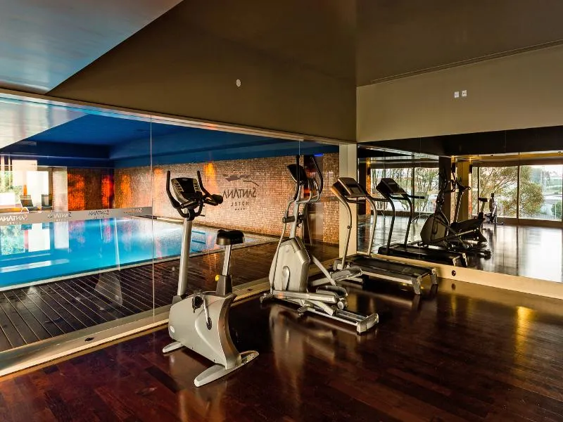 Pool, Santana Hotel & SPA, Porto