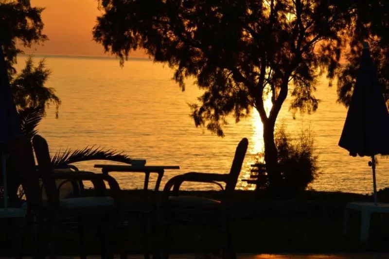 Beach, Oasis, Athens