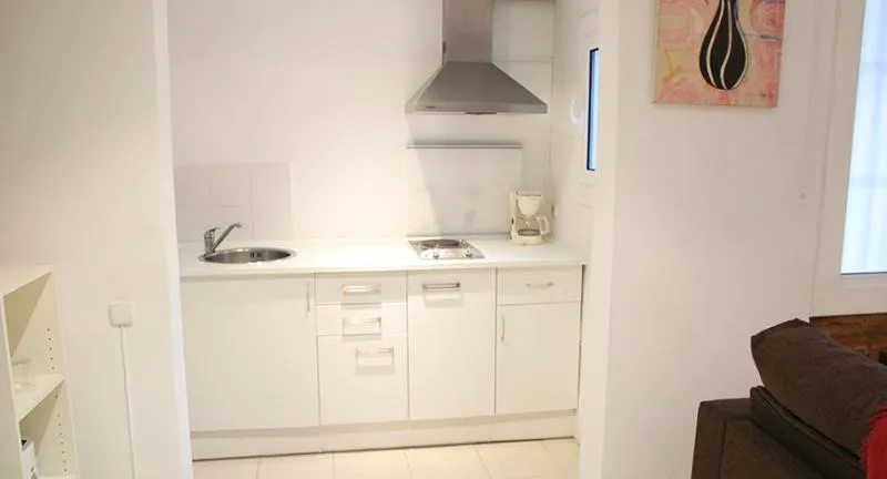 APARTMENT SUPERIOR CAPACITY 3 Room, Travessera Parc Guell Apartamentos, Barcelona