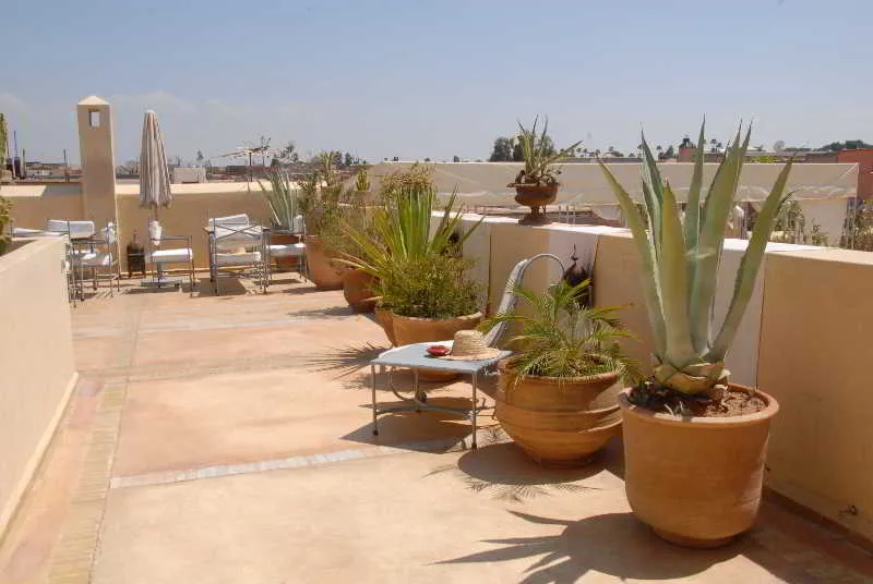 Terrace, Riad Azoulay, Marrakech