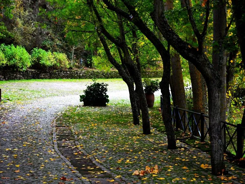 General view, Quinta Da Mata, Porto