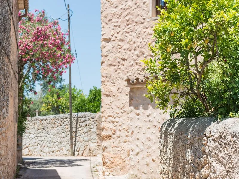 General view, Rural Son Jorda, Majorca