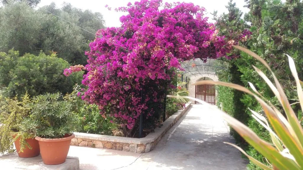 General view, Villa Primera, Majorca
