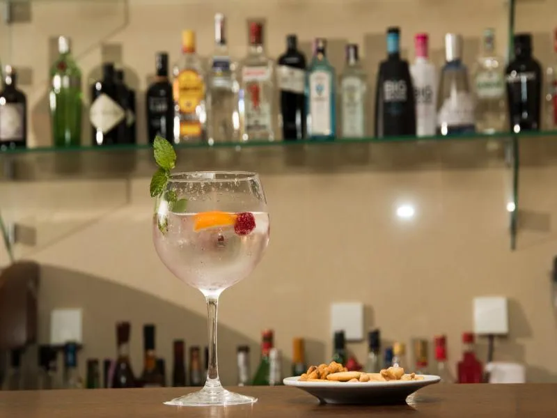 Bar, Luna Arcos Hotel Nature & Welness, Porto