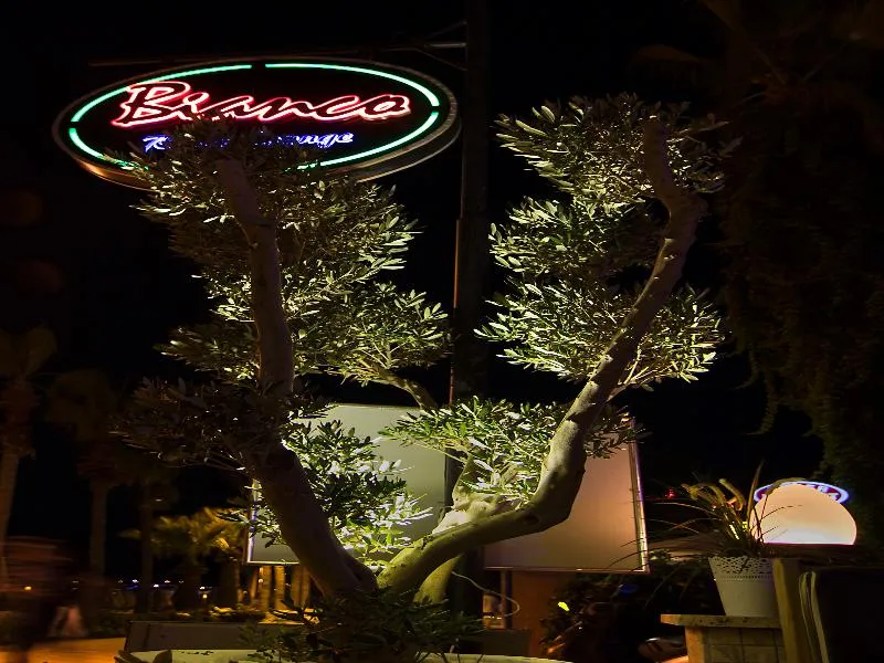 Bar, Romance Beach, Dalaman