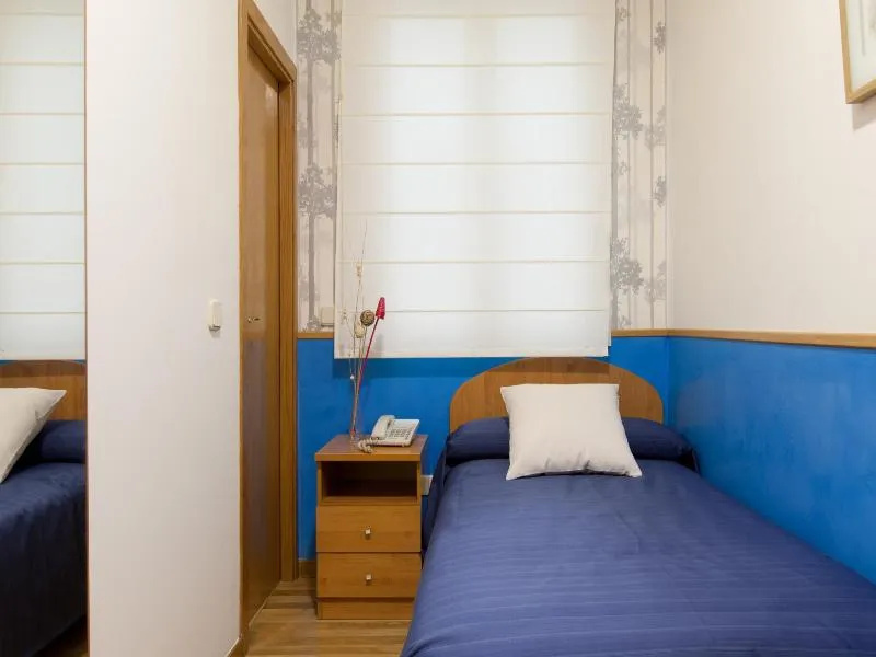 SINGLE STANDARD Room, Hostal Montaloya, Madrid