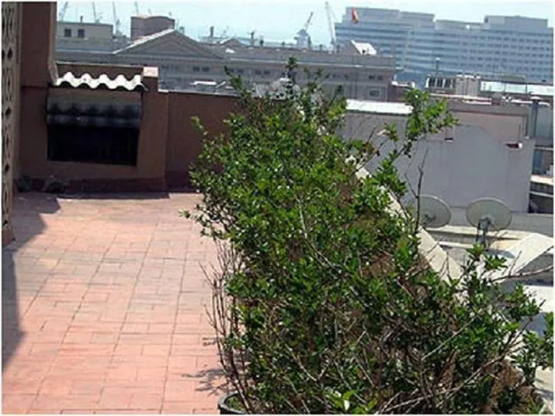 Terrace, Mur-Mar, Barcelona