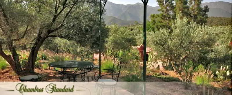 General view, Oliveraie De Marigha, Marrakech