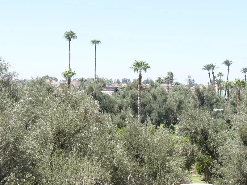 General view, Riad Anya, Marrakech