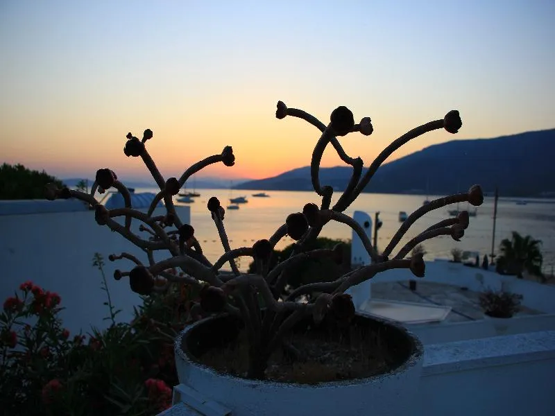 Terrace, Torbahan Hotel, Bodrum