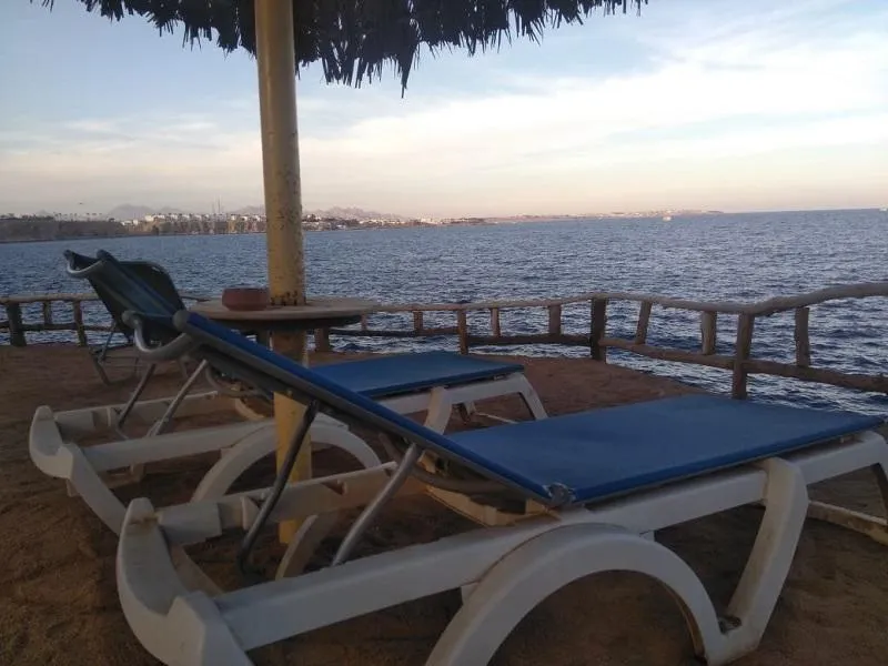 Beach, Tivoli Hotel Aqua Park, Red Sea Riviera
